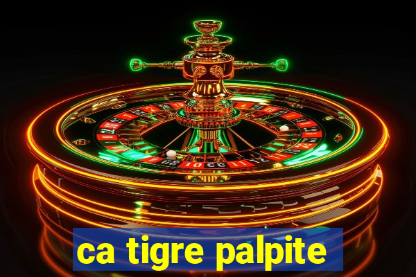 ca tigre palpite